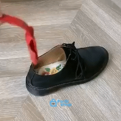 Calce Sapatilhas fácil com - LazyShoer